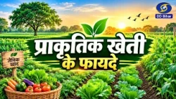 Benefits of Natural Farming | Dr. Rita Singh | Producer - Pawan Kumar