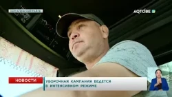 Уборочная кампания ведется в интенсивном режиме