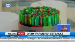 Kiambu dairy farmers seek gov't help over costly feeds and poor livestock genetics