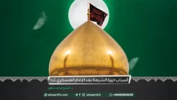 أسباب حيرة الشيعة بعد الإمام العسكري (ع) | د. الشيخ محمد شقير