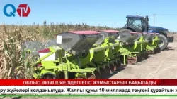 ОБЛЫС ӘКІМІ ШИЕЛІДЕГІ ЕГІС ЖҰМЫСТАРЫН БАҚЫЛАДЫ