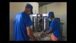 Processing center in Palmira municipality maintains continuous production