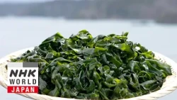 Wakame - Trails to Oishii Tokyo
