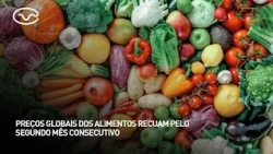 Preços globais dos alimentos recuam pelo segundo mês consecutivo