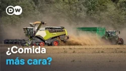 Food prices: Why they could rise again in 2027