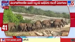 Two Kumki elephants to Manyam Dist :  ఏపీలో అడవి ఏనుగులకు చెక్ పెట్టబోతున్న కుంకీలు - TV9