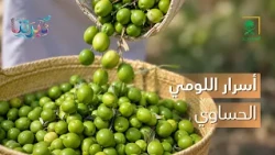ديرتنا | أسرار اللومي الحساوي في العناية والجمال