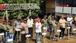 WORLD MANGROVE DAY