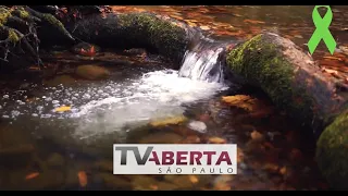 Junho Verde - Prevenção do meio ambiente