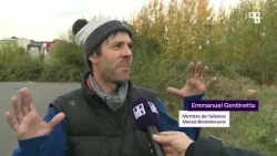 Anderlecht : les défenseurs du marais Biestebroeck veulent sauver sa biodiversité