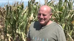 ODRŽANI TRADICIONALNI DANI POLJA KUKURUZA