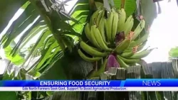 Edo North Farmers Seek Govt. Support To Boost Agricultural Production