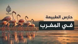 أخنيفيس.. جنة الطيور المهاجرة على سواحل المغرب