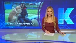 Kaliningrad News — Daily Recap, June 18, 2026 Kaskad TV