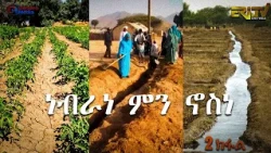 ሄራር - ነብራነ ምን ኖስነ  (2 ክፋል ) | hierar nebrane min nosne - Part 2 (in Tigre) - July, 2026