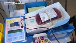 WEST NILE VIRUS: 1 DEATH IN LOIRE-ATLANTIQUE