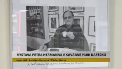 LITOMĚŘICE: Výstava Petra Hermanna v kavárně Park Kaféčko