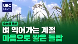 벼 익어가는 계절..마음으로 쌓은 돌탑