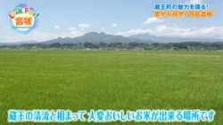 見逃し配信【Look For！宮城】　宮城県蔵王町の魅力・円田盆地で育った「蔵王源流米」