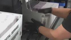 Bonta accused of 'rigging' voter ID measure | To The Point with Alex Bell