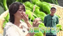 JA Kyoto Ninokuni "Manganji Sweet Peppers" with Toshikazu Takeda (Maizuru City) | KBS Kyoto TV "A...