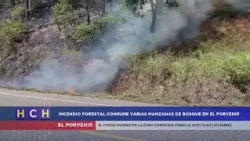 Environmental catastrophe! Forest in El Porvenir has been burning for over 48 hours