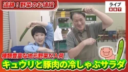 【追跡！野菜のお値段】「野菜のオールスター勢揃い」富山の市場に地物野菜が種類豊富　梅は台風直撃で異変、注目集まる福井産#2026年6月9日OAライブBBT