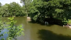 Vinohradský rybník čeká velká proměna