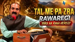 TAL ME PA ZRA RAWAREGI YARA NA RANA HEREGY  || Pashto Song || AVT Khyber