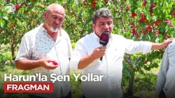 Joyful Roads with Harun Explores the Beauties of Isparta and Edirne! | September 12, 2026