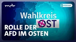 Demokratie unter Druck: Was die Politik aus dem AfD-Boom lernen muss | Podcast: Wahlkreis Ost | MDR