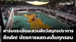 Samut Prakan Crocodile Farm and Zoo is bustling! Shows sold out every round | Evening News | Sep ...
