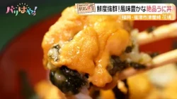 [Akira Okazawa's Station-Front Eatery] Ultra-Fresh! A Rich and Exquisite Sea Urchin Bowl at "Shik...