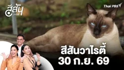 Khao Dok Mai Homestay, an Island for Cat Lovers | Sisan Variety | Sep 30, 2026