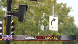 Fla. lawmakers agree on need for state legislation on Flock cameras but have differing views on when