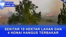 AROUND 10 HECTARES OF LAND AND FOUR HONAI BURNED TO THE GROUND