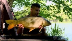 Zigování na rybníku Golden Hook