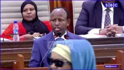 "Waa ognahay in hadii labaaro Farmashiyaasha dalka lagu gado Dawooyin dhacay"Wasiirka Caafimaadka.