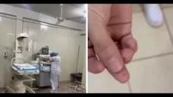 Fleas invade neonatal unit at CDE Regional Hospital