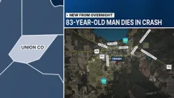 Man dies after car strikes two trees in Union County