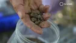 Science that Connects: Soil Doctors