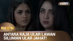 PERTARUNGAN RAJA ULAR DAN SILUMAN ULAR | Momen Drama NADIN Eps 04 (2/3)