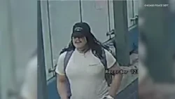 Chicago police issue alert on sexual abuse at CTA Blue Line station in Wicker Park