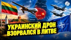 NATO on high alert: what happened with the Ukrainian drone in Lithuania?