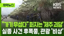 [Subtitled News] "Too scary to visit": 'Jeju ghost stories' spread… Tourism industry on high aler...
