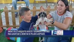 ES NOTICIA - MIDDAY EDITION 08-31-26