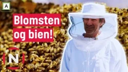 Jon lærer om bier, Ellen frykter for hønene! | Jon blir bonde | TVNorge