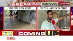 বিগত এমাহে কৃত্ৰিম বানৰ কবলত চামগুৰি