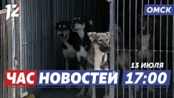 A Shelter That Changes Destinies / The Main Summer Festival / Fines for Filming Drones. Omsk News