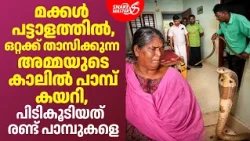 ഒറ്റക്ക് താസിക്കുന്ന അമ്മയുടെ കാലിൽ പാമ്പ് കയറി | Cobra Rescue by Vava Suresh | Snakemaster EP 1206